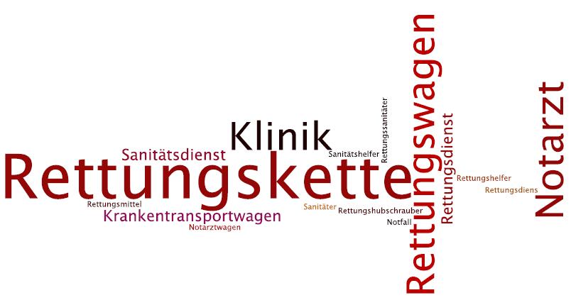 notfallmedizin