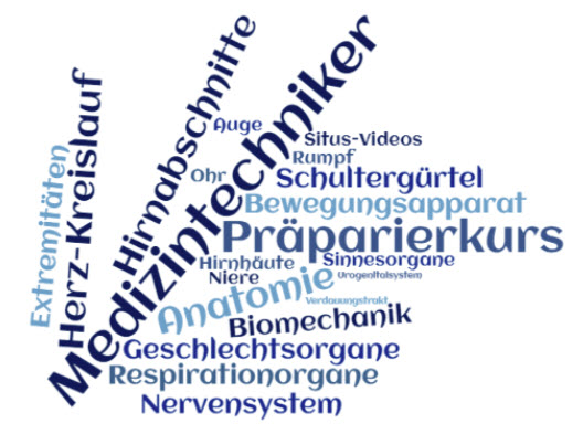 Wortwolke Anatomie für Medizintechniker